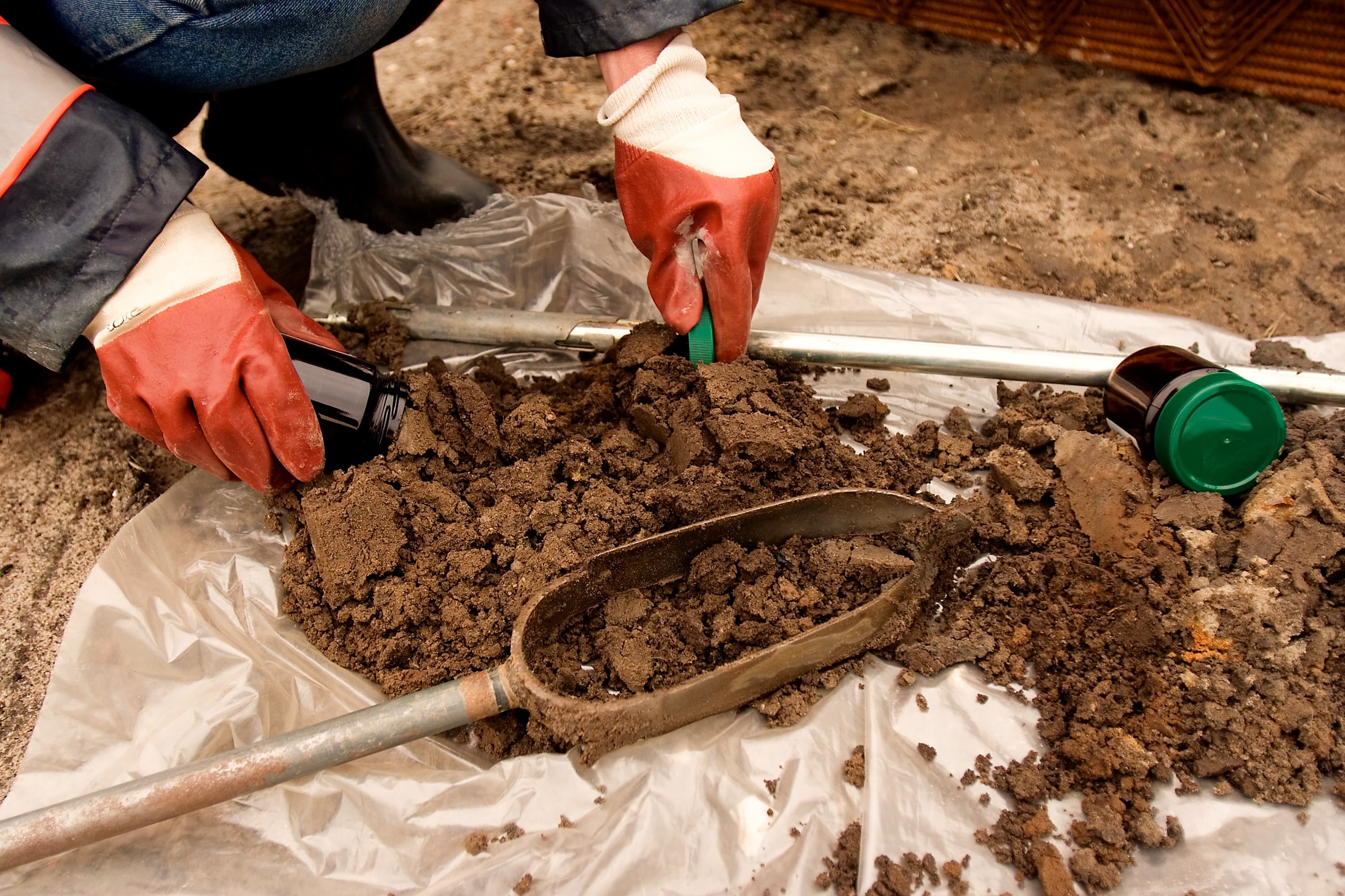 Gloved hands cutting a soil sample from an auger and sealing it into a sample jar